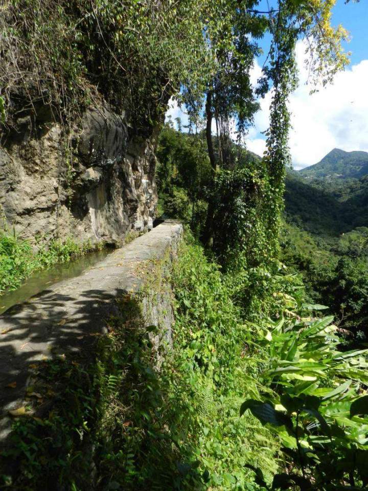 Circuit privé en Martinique