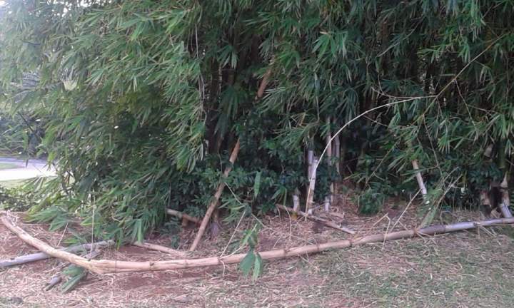 Taxi touristique privatif Martinique