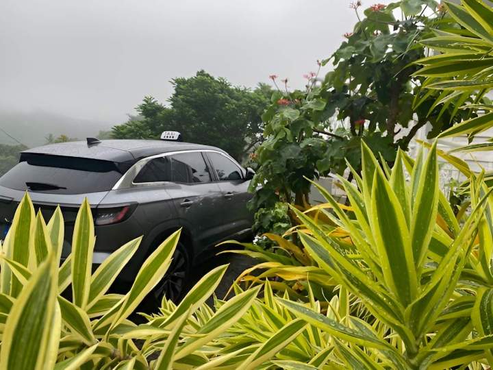 Taxi pour déplacements en Martinique