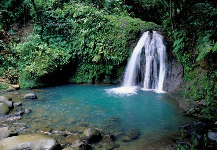 Circuit pour touristes Martinique