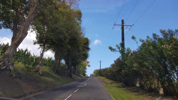 Voyage en taxi en Martinique
