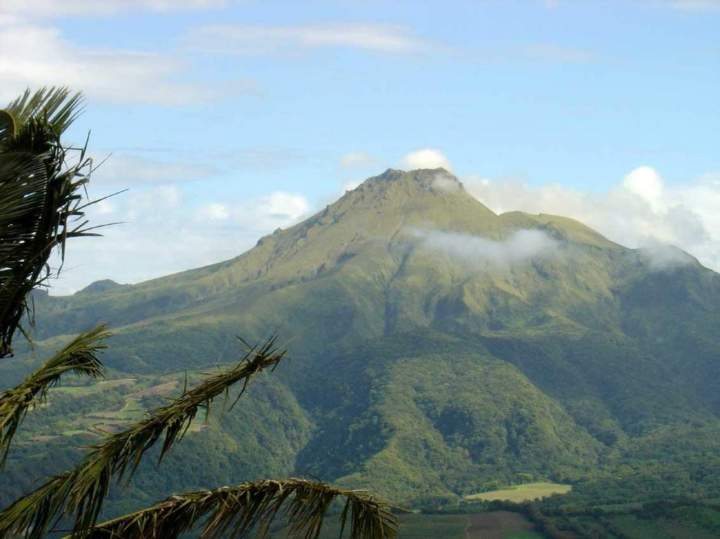 Visite touristique en taxi Martinique