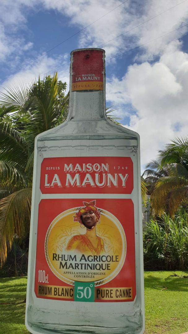 Excursion touristique Martinique