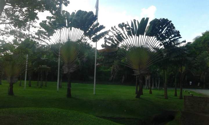 Voyage touristique en taxi en Martinique