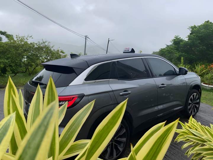 Découverte de la Martinique en taxi