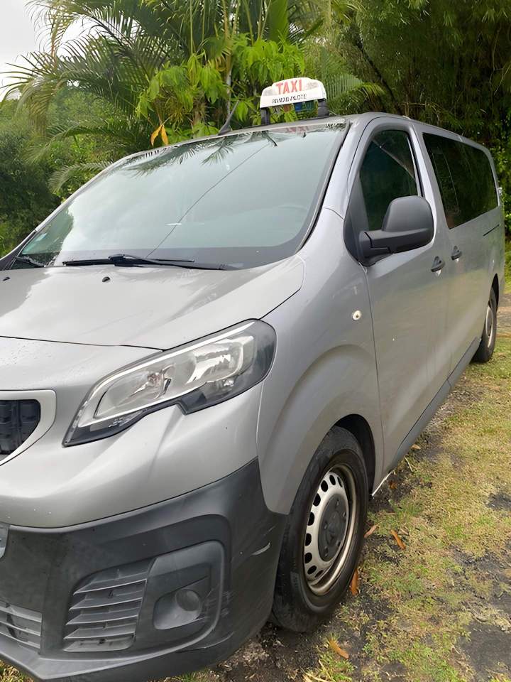 Service d'excursion en taxi à la carte en Martinique