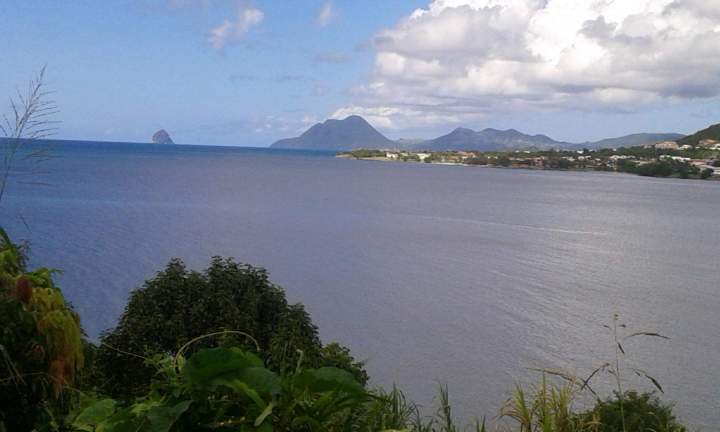 Chauffeur touristique Martinique