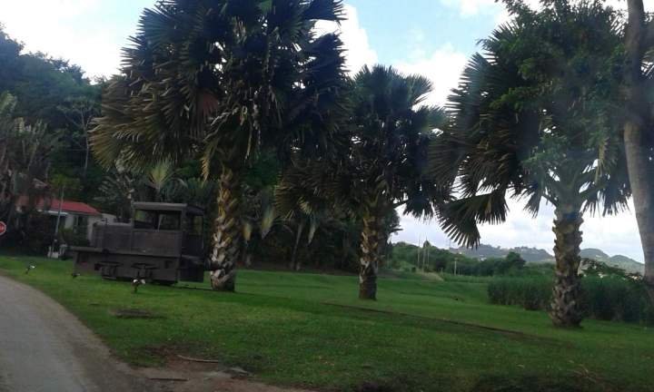 Circuit touristique en taxi Martinique